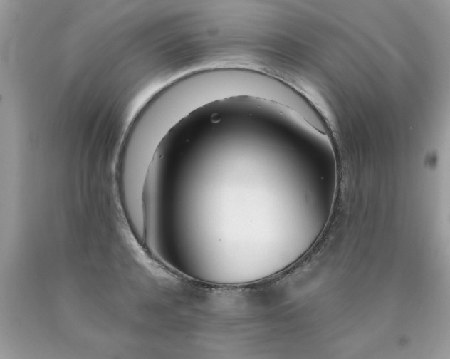 X0000090480944200707272316