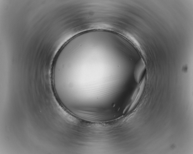 X0000090480947200707272316