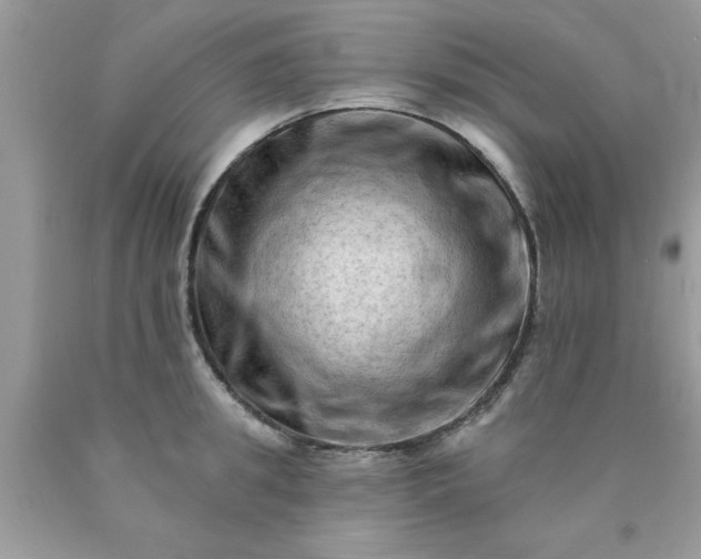 X0000090480949200707272316