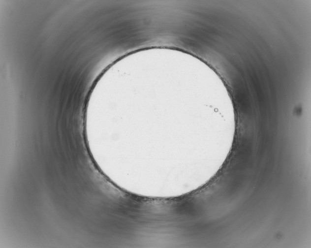 X0000090480950200707272316