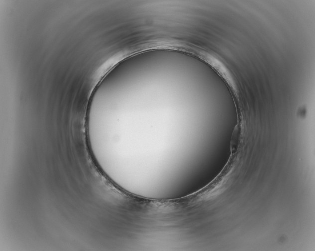 X0000090480954200707272316