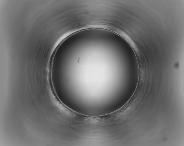 X0000090480955200707272316