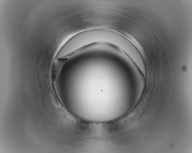 X0000090480956200707272316