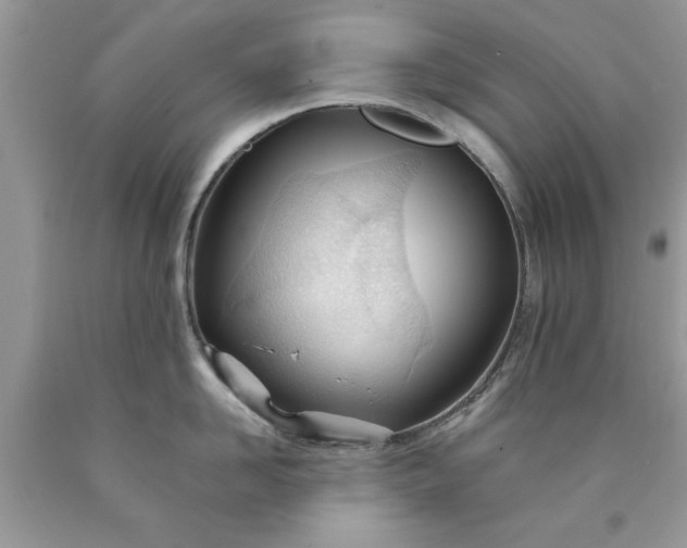 X0000090480958200707272316