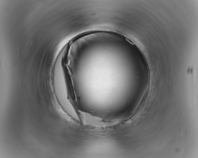 X0000090480960200707272316