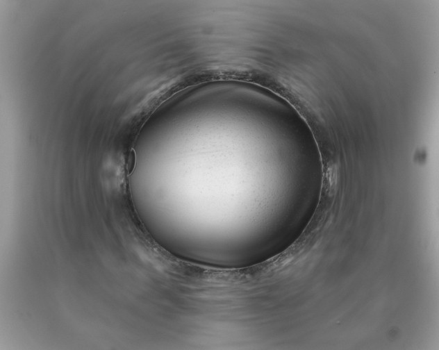 X0000090480963200707272315