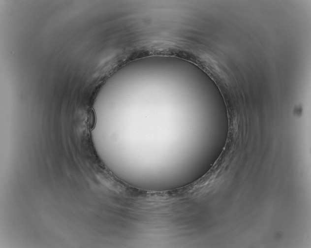 X0000090480964200707272315