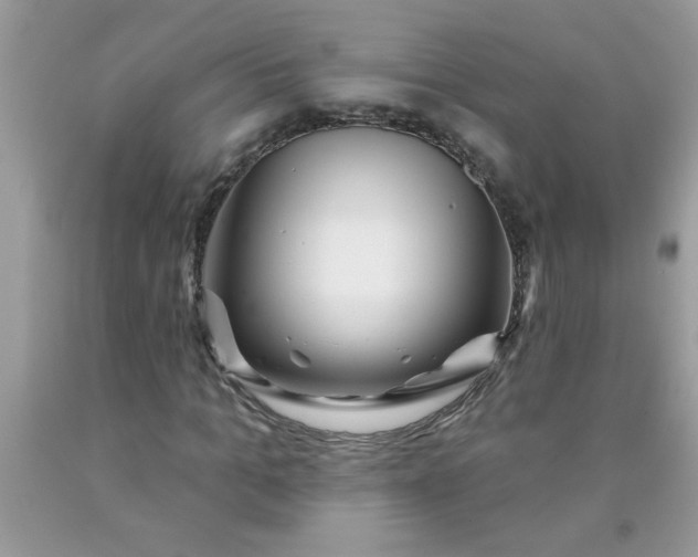 X0000090480965200707272315