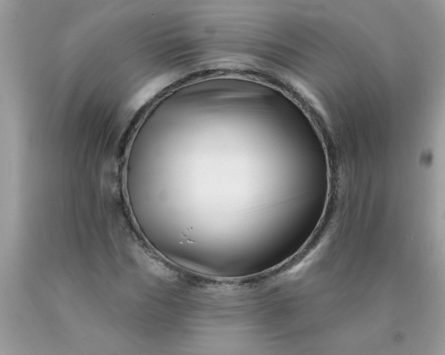 X0000090480970200707272315