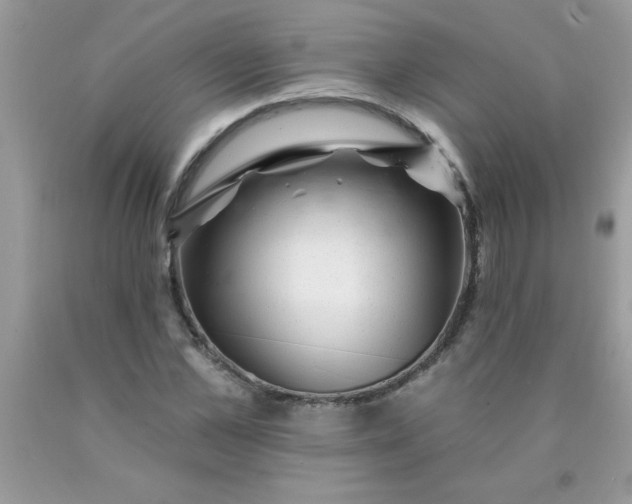 X0000090480973200707272315