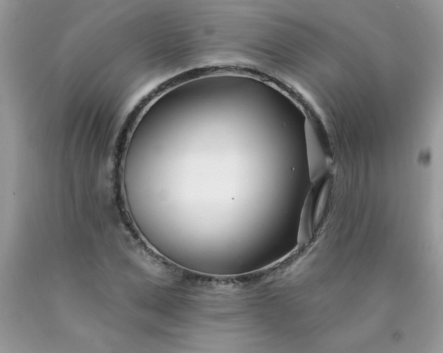 X0000090480975200707272315