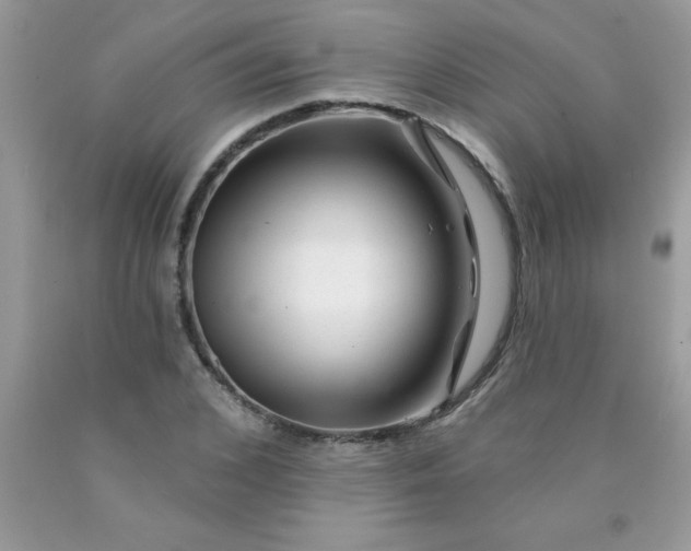 X0000090480976200707272315