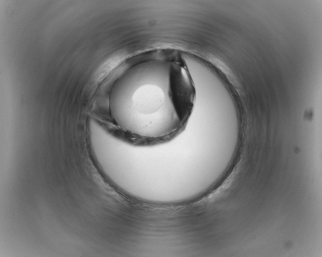 X0000090480977200707272315