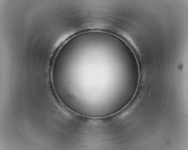 X0000090480978200707272315