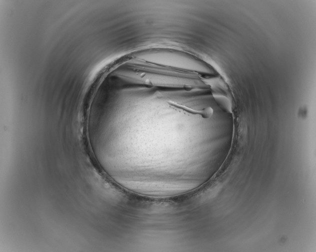 X0000090480979200707272315