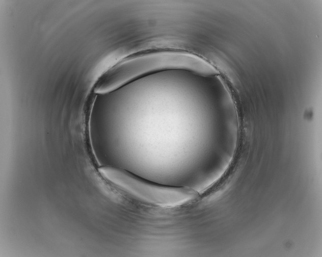 X0000090480981200707272315