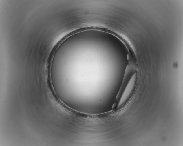 X0000090480983200707272315