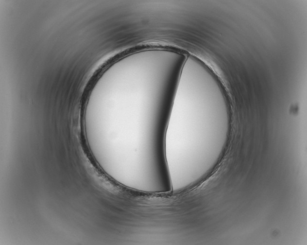 X0000090480984200707272315