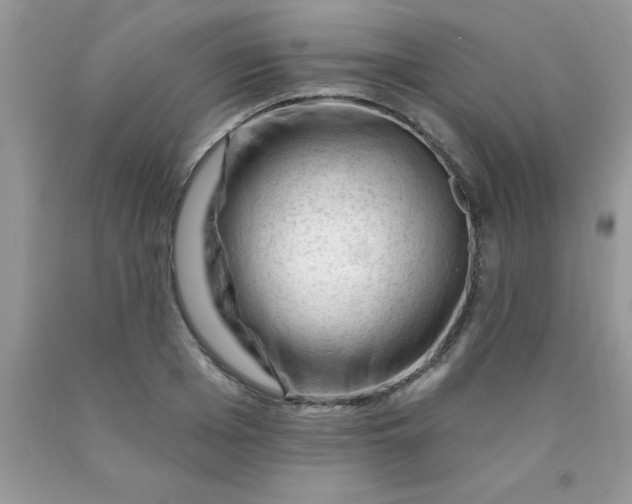 X0000090480985200707272315