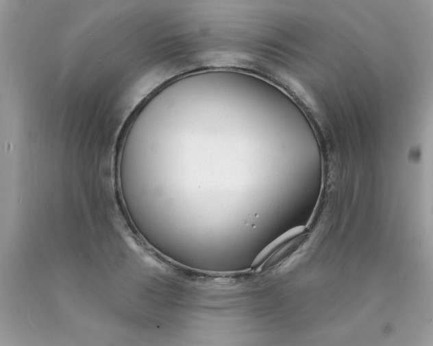 X0000090480986200707272315