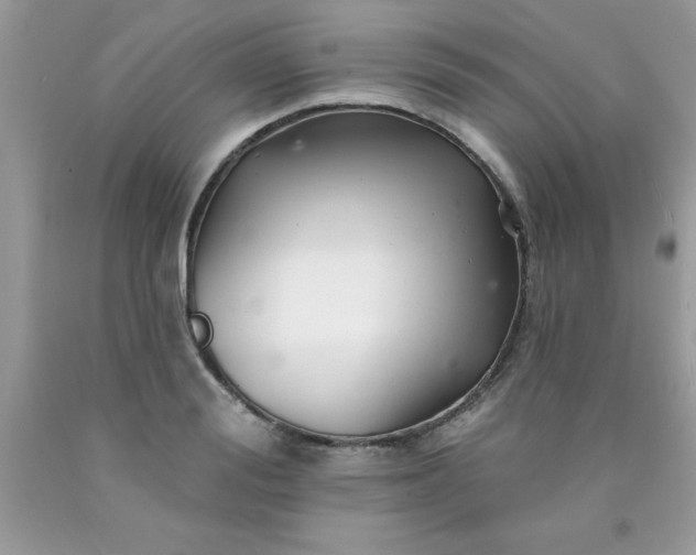 X0000090480988200707272315