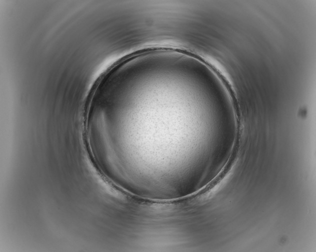 X0000090480989200707272315