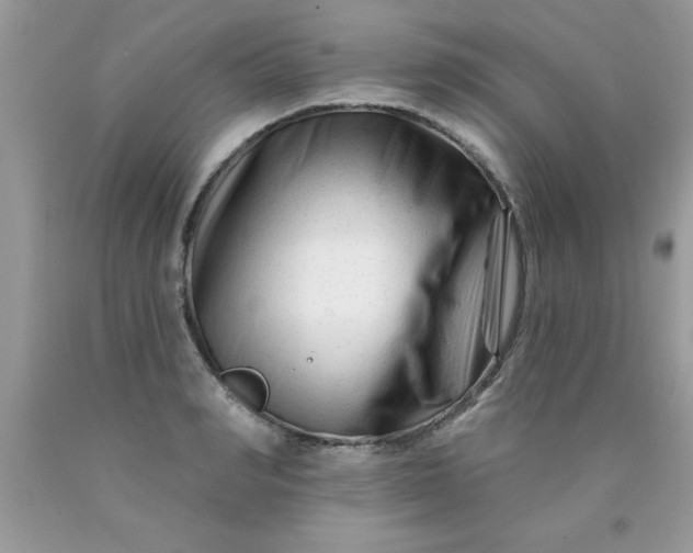 X0000090480990200707272315