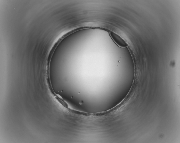 X0000090480992200707272315