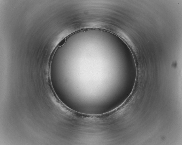 X0000090480994200707272315