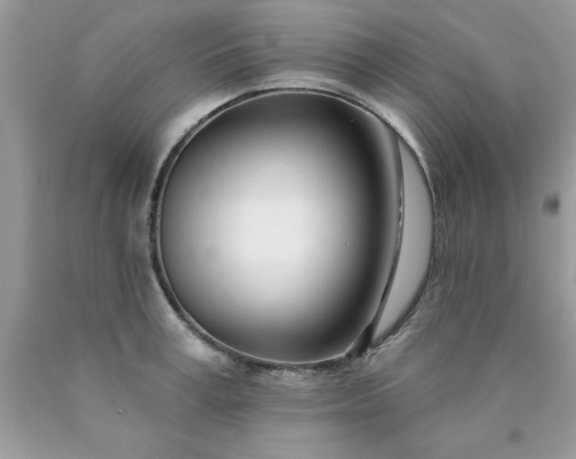 X0000090480995200707272315