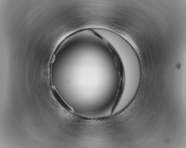 X0000090480996200707272315