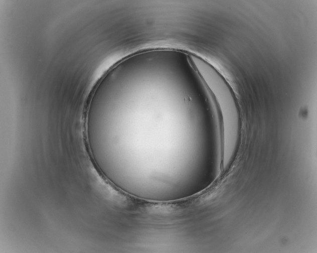 X0000090480998200707272315