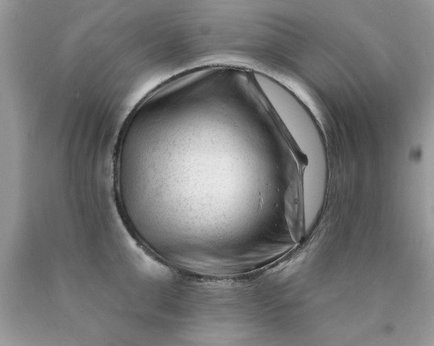 X0000090480999200707272315