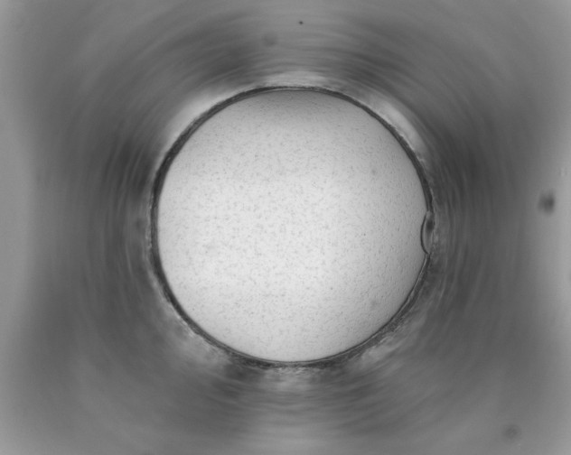 X0000090481000200707272315