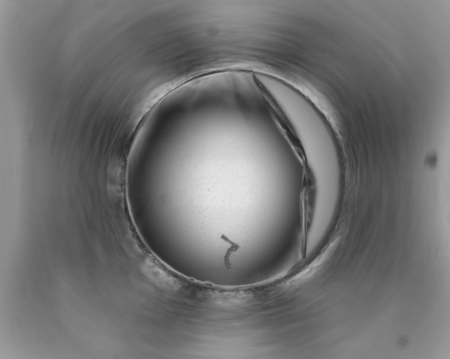 X0000090481001200707272315