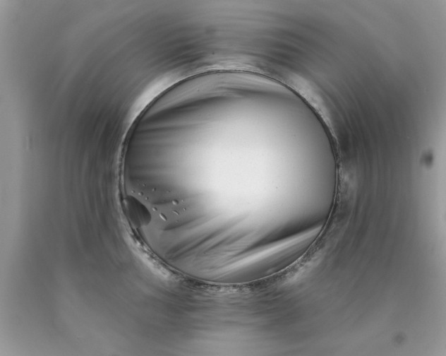 X0000090481002200707272315