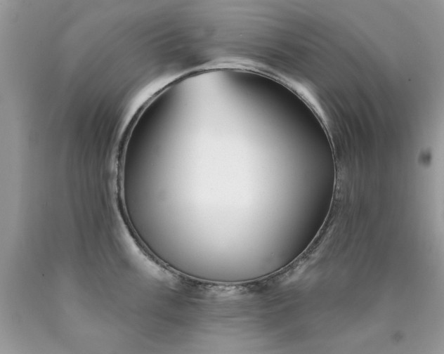 X0000090481003200707272315