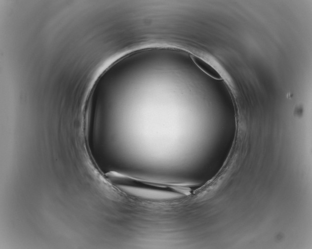 X0000090481004200707272315