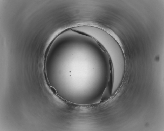 X0000090481005200707272315