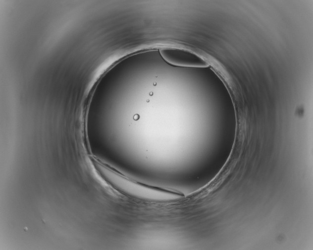 X0000090481006200707272315