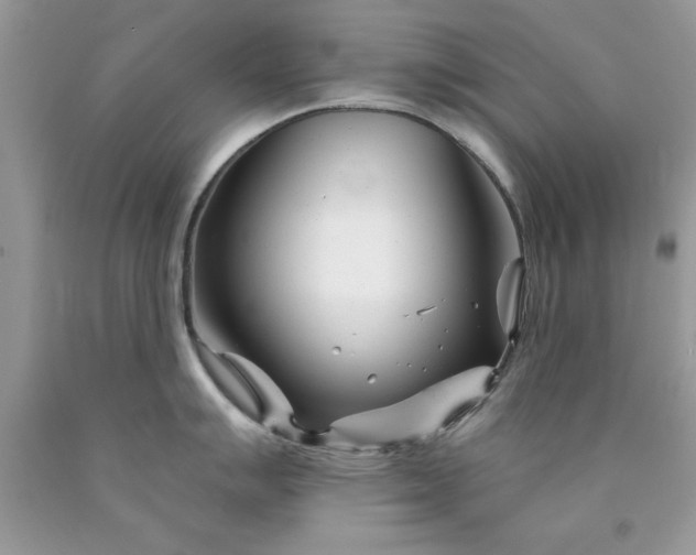 X0000090481007200707272315