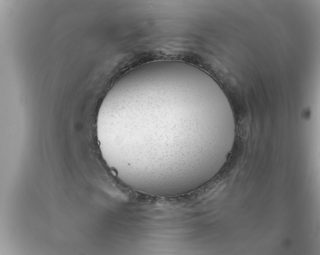 X0000090481009200707272314