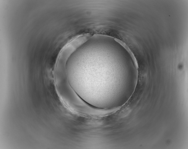 X0000090481010200707272314