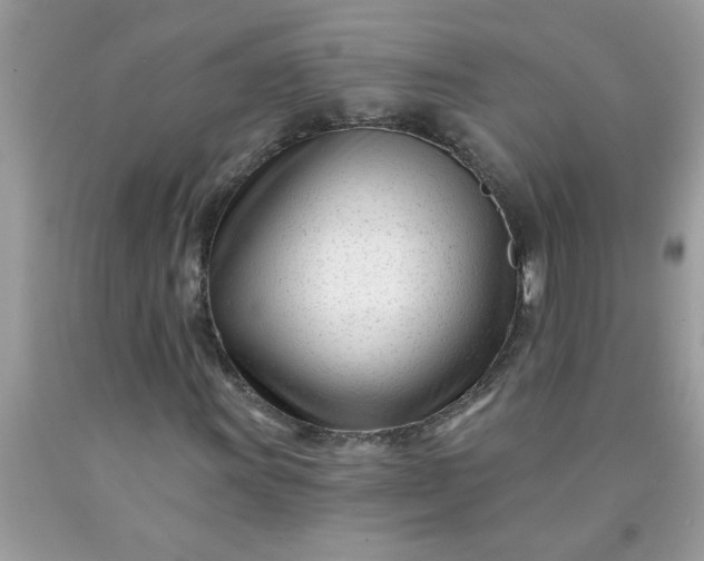 X0000090481011200707272314