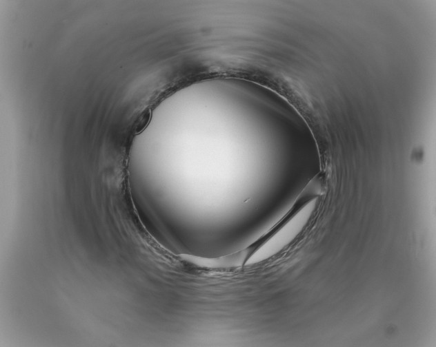 X0000090481012200707272314