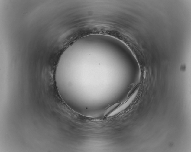 X0000090481013200707272314