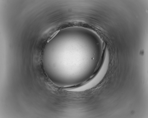 X0000090481014200707272314