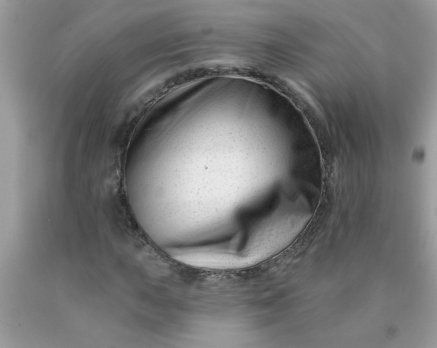 X0000090481015200707272314