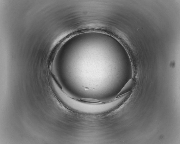 X0000090481018200707272314