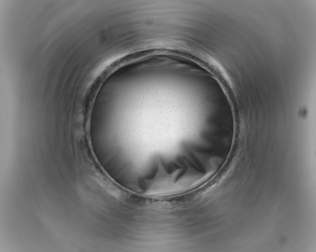 X0000090481019200707272314